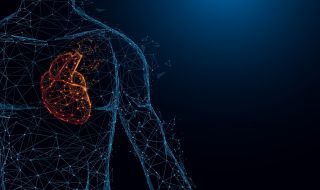 Разберете дали сърцето ви е здраво само за 30 секунди