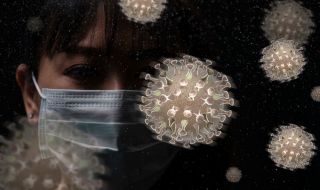 Китай съобщи за първи човешки случай на птичи грип H3N8