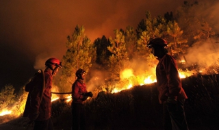 Огнен ад обхвана САЩ и Португалия - Видео