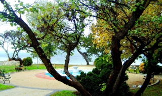 Млади художници с изложба в Силистра