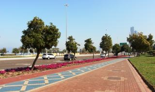Учим се от ОАЕ как се правят умни градове и пътища