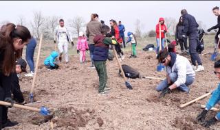 Столична община: Новата гора на София продължава да "расте"