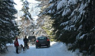Няма сигнали за нарушители в природен парк "Витоша"