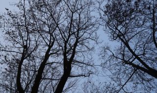 Прогноза за времето в събота, 18 февруари: Опасен вятър, температурите скачат още