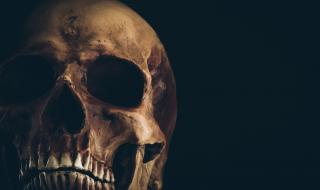 Защо не живеем в постоянен страх от смъртта?