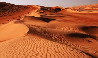  100-метрова картина се появи в пустинята на Оман (ВИДЕО)