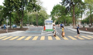 Дърво уби пешеходец в Бургас