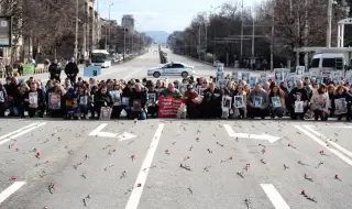 С 456 карамфила в памет на жертвите по пътищата протестиращи блокираха за кратко "Орлов мост"