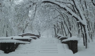 Историята на 24 декември