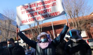 Пчелари от цялата страна излязоха на протест