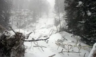 Повишена лавинна опасност в Пирин