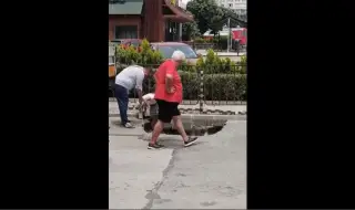 Пропадна част от пътното платно на булевард в София