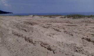 Обрат: Прекратиха делото за унищожената дюна на „Смокиня“