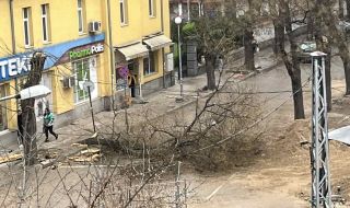 Буря удари Пловдив, събори изолацията на блок върху детска площадка
