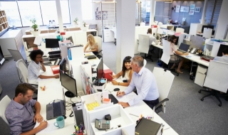 Как да оцелеем в офиса?