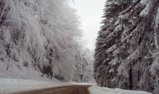 25 сантиметра сняг в прохода "Петрохан"