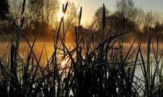 Слънчево начало на седмицата