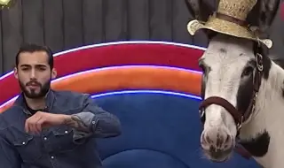 Защо вкараха магаре в Къщата на Биг Брадър? (ВИДЕО)