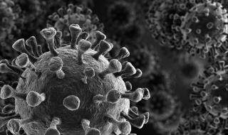 САЩ: Ваксината срещу COVID-19 няма да даде доживотен имунитет