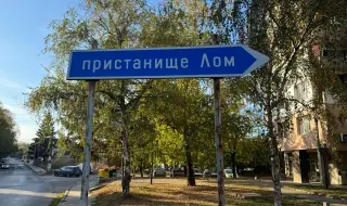 Нов кораб заседна в Дунав край Лом