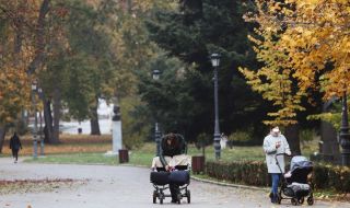 Пренасочиха 9 млн. лева за градинки в София