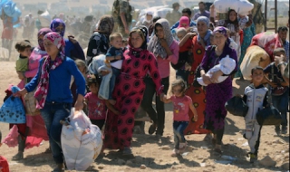 Бъчварова: В някои дни 400-500 мигранти искат да влязат у нас