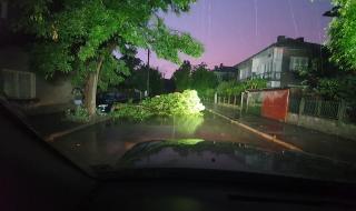 Повреден трафопост и изкоренени дървета след бурите в Монтанско