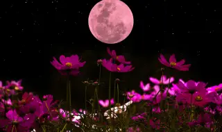 Пълна Розова Луна на 1 април - ново начало за 4 зодии