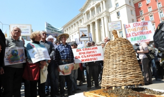 България ще гласува за забрана на употребата на вредни за пчелите пестициди