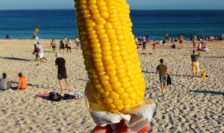 Внимавайте, когато чуете призива "Сладка млечна царевица"  на плажа (ВИДЕО)