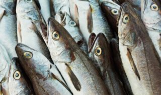 Брюксел и Осло в ожесточен спор за риболова