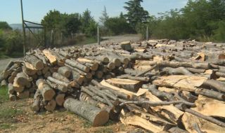 Земеделският министър обеща евтини дърва за огрев