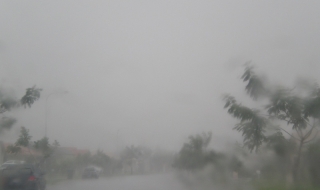 Дъжд и пак дъжд в неделя