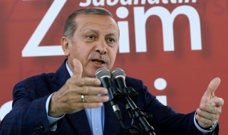 Ердоган към германски депутати: Кръвта ви е нечиста!