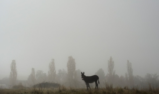 Пак облаци и мъгла