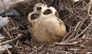 Местен откри череп в Негован
