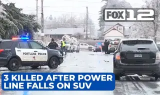 Клон събори електропровод върху автомобил  в САЩ, токът уби трима ВИДЕО