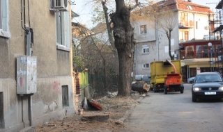 Пловдивчани на протест срещу сеч на дървета