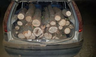 Масови нарушения в страната при проверки за незаконен дърводобив
