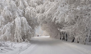 Павлова: Ще бъдем безкомпромисни към фирми, които не чистят добре