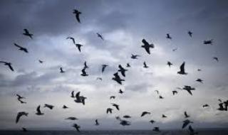 Ветровит четвъртък