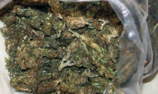 Баща и син гледат марихуана във Варна