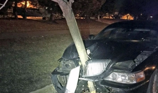 Пияна американка вози ударено дърво