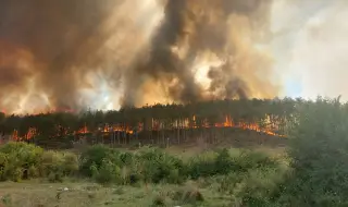 500 декара гори горят край Копривщица