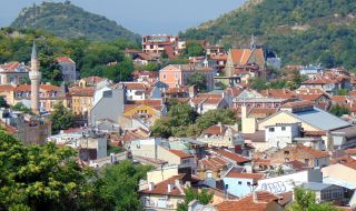 Гигантски буболечки налазиха Пловдив