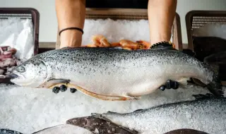 Изкуството да избираме и приготвяме морска храна: От кулинарния пазар до перфектната чиния