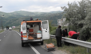 Намериха труп, вероятно блъснат от кола