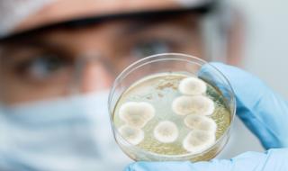 Микробиолози: Човечеството загива, науката е безсилна