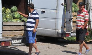 Производителите на дини в Любимец търпят огромни загуби