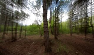 Спасиха трима изгубили се гъбари